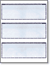 Form #3000 Business Checks
